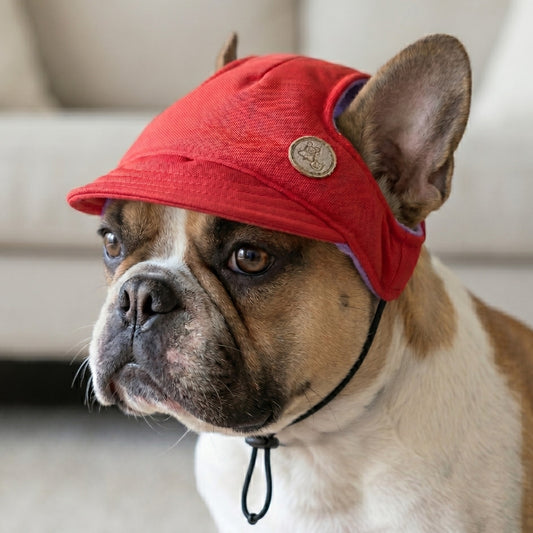 Gorra unicolor